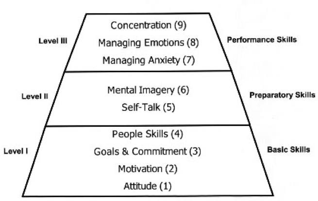 piramide delle skills 