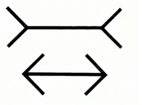 discalculia